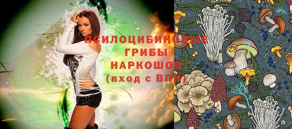 меф Арсеньев
