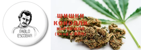 прущие крисы Армянск